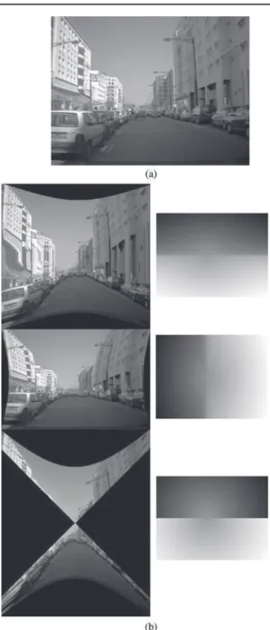 Fig. 2 (a) Original image. (b) Left: images that are constructed using the geometric transformation that makes all c-curves parallel straight lines