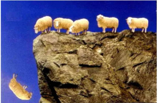 Figure 5.1: Illustrating cliff-edge theory with sheeps: the closer you are to the drop, the better is the grass