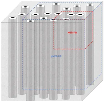 Figure 45 : Illustration de la zone imagée par MEB-FIB comparée au MEB-FIB Plasma (pMEB-FIB) 