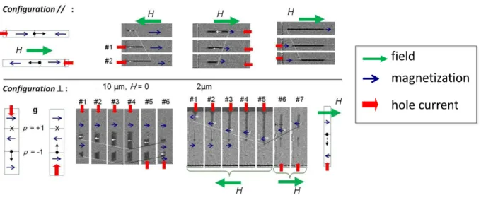 Figure II.17: [191] Summary of the phenomenology observed under current + eld, for 2 and 10 micron-wide tracks - longitudinal Kerr microscopy