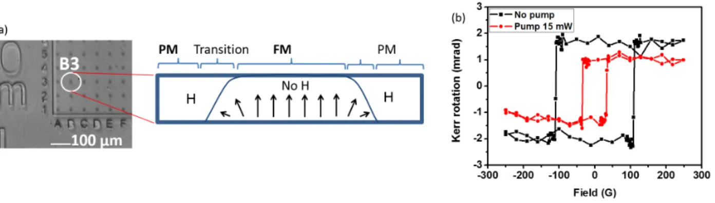 Figure III.4: (a) Kerr microscopy of an array of 15µm diameter dots patterned by hydrogenation spaced by 50µm, schematics (not to scale) of the cross-section of a dot, with paramagnetic (PM) and ferromagnetic regions (PM) separated by a ∼100 nm transition 