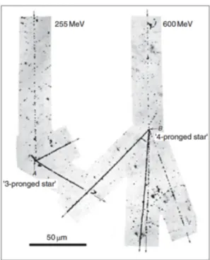 Figure 2.2 – Deux « étoiles » produites dans des émulsions photographiques   par deux protons cosmiques de 255 MeV et de 600 MeV