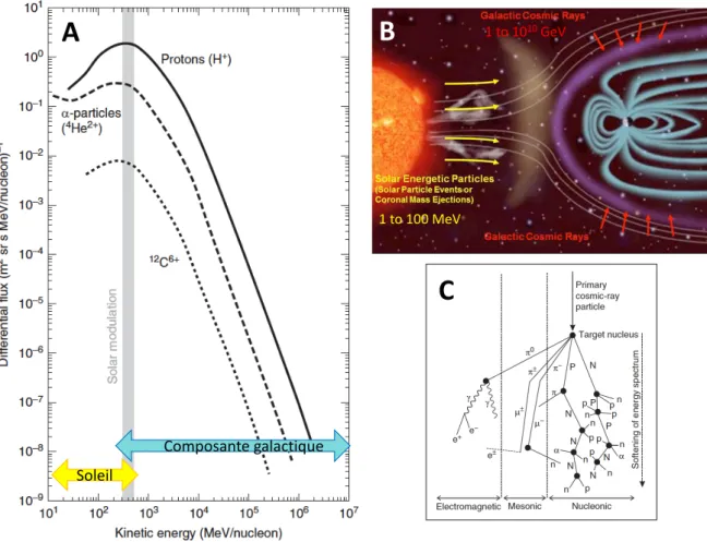 Figure 2.4 – A) Flux des particules cosmiques en fonction de leur énergie – observation réalisée au  sommet de l’atmosphère (modifié à partir de Dunai 2010 – données issues de Simpson, 1983)
