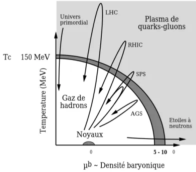 Figure 2: Representation schematique du diagramme de phase de la matiere nucleaire.