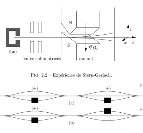 Fig. 2.2 – Exp´erience de Stern-Gerlach.