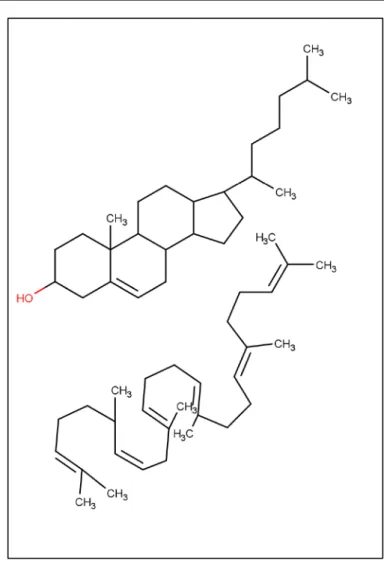 Figure 2 Cholesterol et squalène 