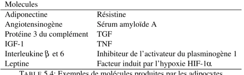 Tableau 2 : exemples de molécules produites par les adipocyte Molécules Molecules