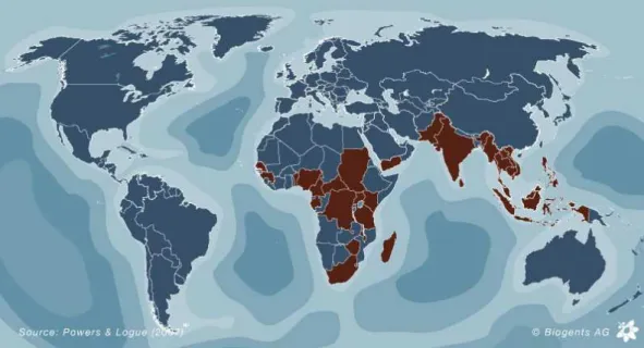 Figure 2.3: Distribution du chikungunya dans les pays o` u la maladie est end´emique (en brun sur la carte)