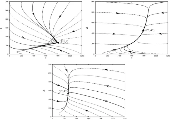 Figure 3.3: Portrait de phase du syst`eme (3.1) avec les param`etres : b = 6, s = 0.5, d = 0.2, K E = 1000, s L = 0.5, d L = 0.25, K L = 500, d m = 0.25