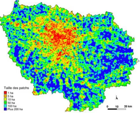 Figure 6 : Carte d’interpolation montrant la fragmentation de l’espace induite par le réseau routier