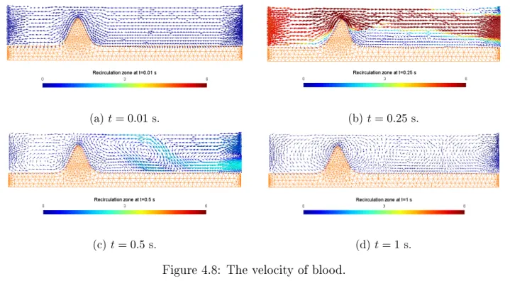 Figure 4.8: The velocity of blood.