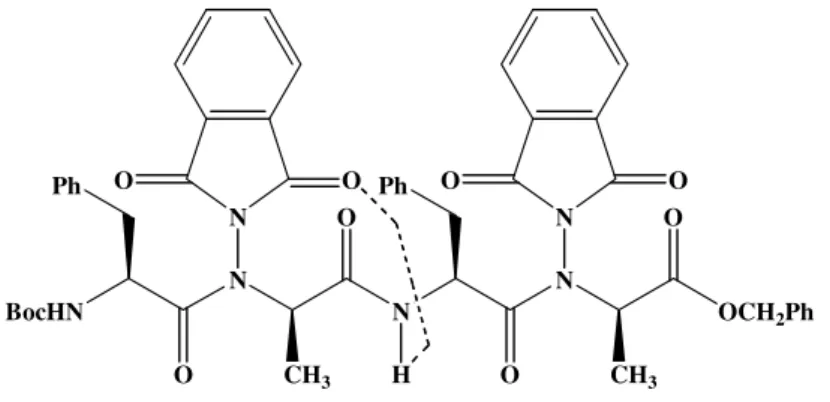 Figure 38 : Exemple de formation d’une liaison hydrogène en C 8  sur un tétramère mixte  amide /N-amino 