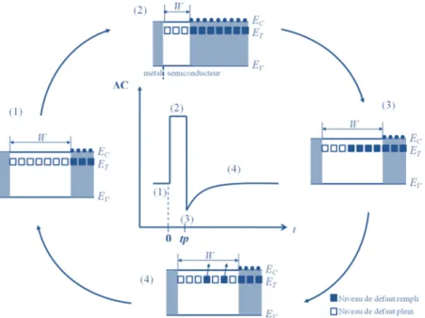 Figure 2.3: Variation de la largeur de la zone de déplétion et de la capacité après  l’application d’une polarisation inverse et un pulse de remplissage pour des défauts à 