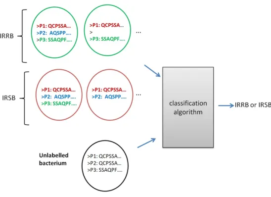 Figure 2.5: An illustration off the IRR prediction problem.