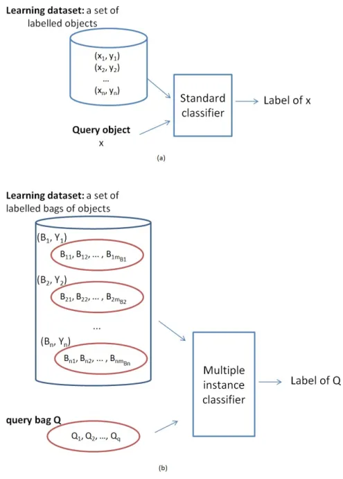 Figure 3.1: Standard supervised classification (a) vs multiple instance classification (b).