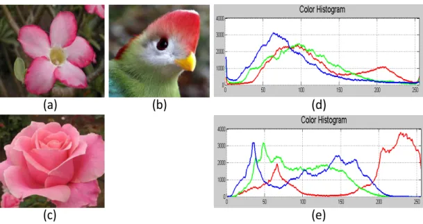 Figure 1.1: An illustration of the semantic gap problem. Images (a) and (b) have similar color histograms but different meanings