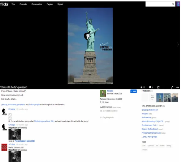 Figure 1.2: A snapshot of the social media Website Flickr. A typical image is associated with comments, tags and ratings (mark as a favorite).