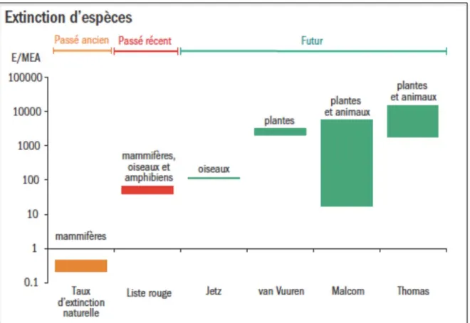 Figure 2. Comparaison des taux d’extinctions des espèces au cours du temps. 