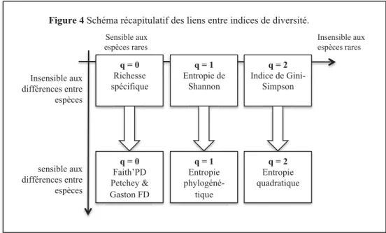 Figure 4 Schéma récapitulatif des liens entre indices de diversité. 