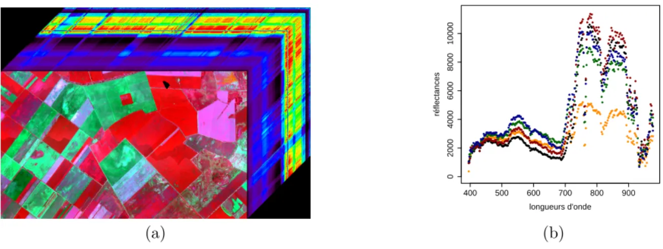 Figure 1.11 – Représentation d’une image hyperspectrale (a) et données spectrales extraites pour quelques pixels (b) (une couleur différente pour chaque pixel).
