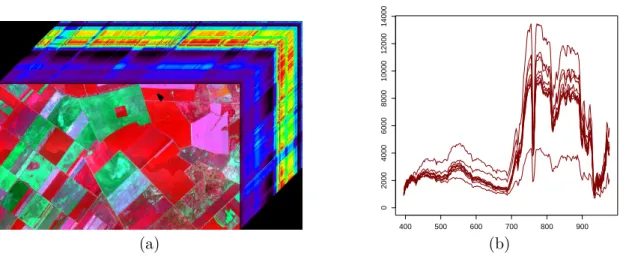 Figure 2.3 – A hyperspectral cube from the AISA dataset (a) with two spatial and one spectral dimensions, and some extracted hyperspectra (b) from the class ’Broadleaved Forest’.