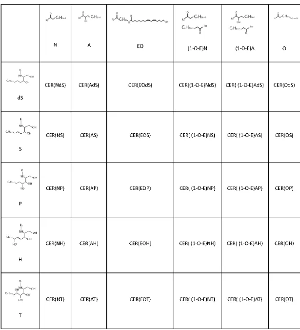 TABLE 2.  Nomenclature and structure of ceramides. All CERs are constituted of a polar head  group  and  two  or  three  alkyl  chains