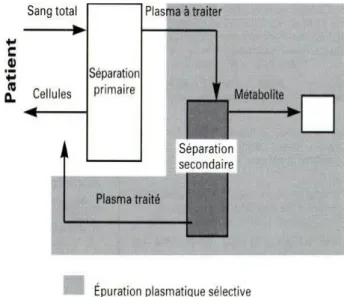Figure 6: Circuit des échanges plasmatiques sélectifs 