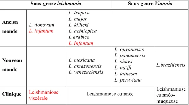 Tableau 8 : Les principaux complexes du genre Leishmania répartis selon le sous-genre,  le domaine géographique et l’expression clinique principale