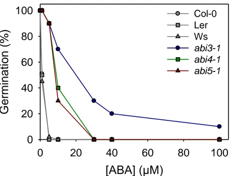 Figure 1.8  :  Sensibilité  à  l’ABA  des  mutants  abi3-1,  abi4-1  et  abi5-1  d’A.  thaliana