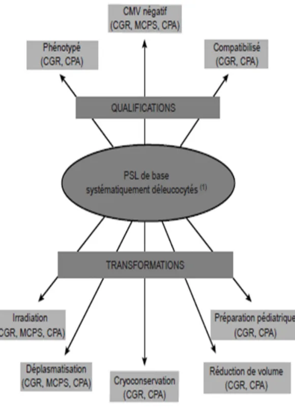 Figure 3 : Les transformations et qualifications des PSL (2) 
