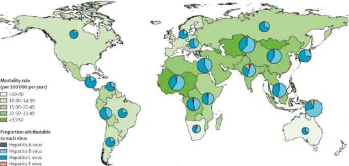 Figure 9: Taux de mortalité liée aux hépatites virales dans la population générale en 2013