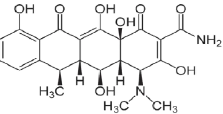 Figure 3 : Structure chimique de la doxycycline.[93] 