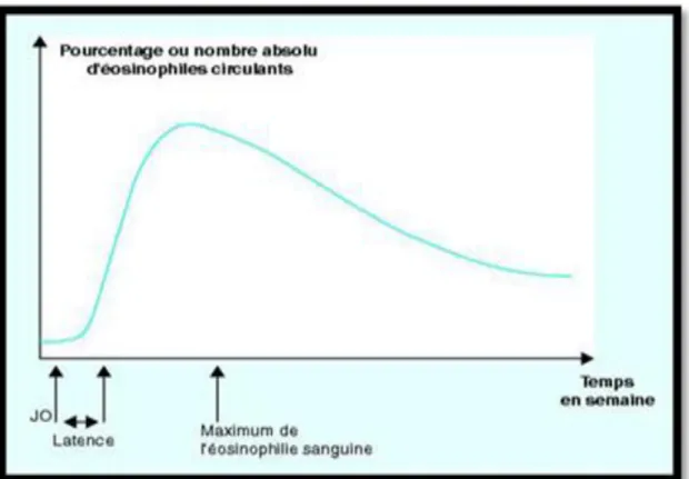 Figure 8. Courbe de Lavier « classique » (John Libbey Eurotext.com). 