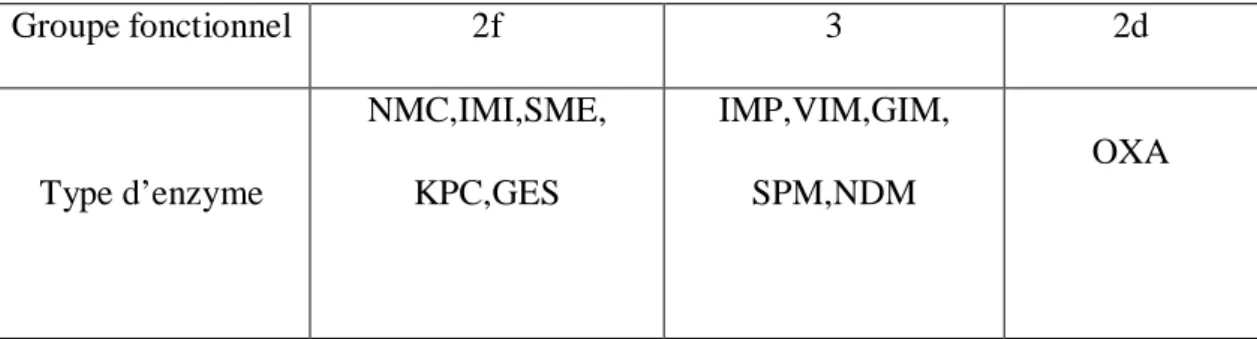Tableau X : Classification fonctionnelle des carbapénèmases.[65] 