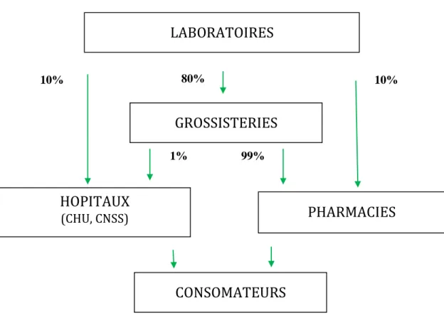 Figure 1 : Les circuits de distribution des médicaments  (8)