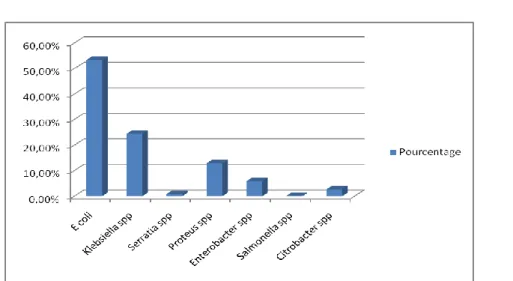Figure 2 : Répartition par espèces des isolats des entérobactéries de              l’année  2005 