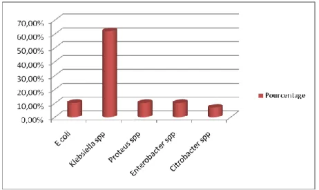 Figure 7 : Fréquence des souches productrices de BLSE en 2005 