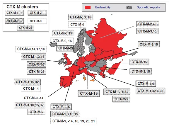 Figure 2: Distribution des enzymes CTX-M en Europe [27]. 