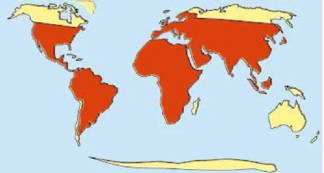 Fig 4: Distribution des vipéridés dans le monde [4]. 