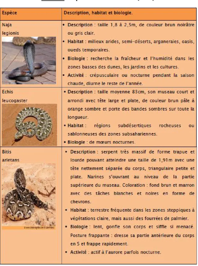 Tableau 6 : serpents venimeux du Maroc [12-15]. 