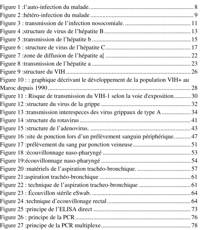 Figure 1 :l’auto-infection du malade. ...................................................................