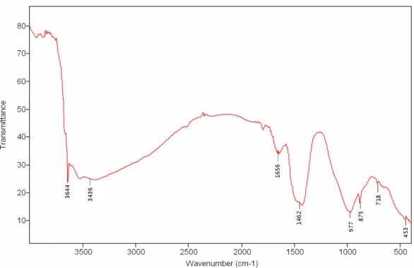 Figure 20: Diffuse reflectance FT-IR spectrum of hydrated cement paste at 28 days of curing at 100% RH 