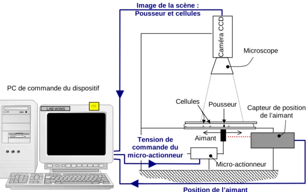 Fig. 3.3 – Param`etres d’entr´ee et de sortie du PC de commande