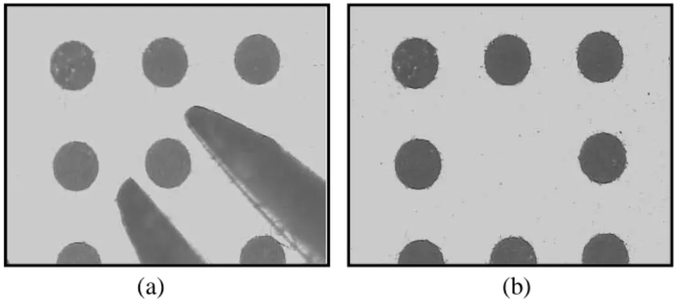 Fig. 3.16 – Transfert manuel d’un pousseur de diam`etre 200 µm.