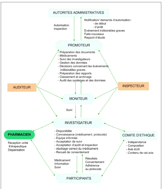 Figure 8: Les acteurs d’un essai clinique [13]