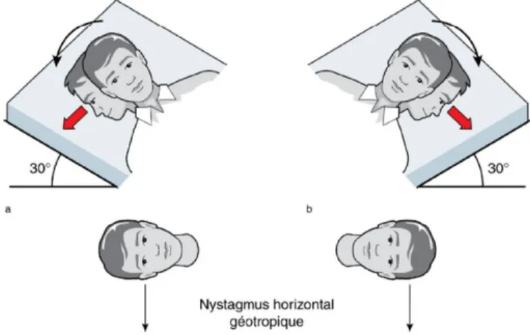 Figure 9 : Manœuvre de roulis en décubitus [3] 