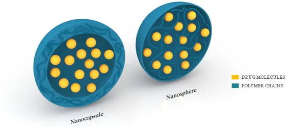 Fig.  1.  Morphology  of  nanospheres  and  nanocapsules.  Nanocapsules:  drug-containing  liquid  core surrounded by a polymer shell; nanospheres: drug dispersed within the polymer matrix