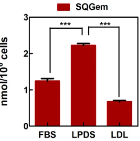 Figure 5.  3 H-SQGem NPs cellular uptake in MDA-MB 231 cells.  3 H-SQGem NPs uptake in  MDA-MB 231 cells cultured in medium supplemented with FBS, LPDS or preincubated with  an excess of LDL in LPDS-supplemented medium at 37°C