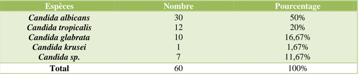 Tableau 7 : Pourcentage des espèces de Candida isolées des sites périphériques 