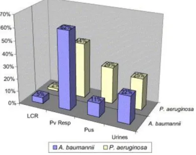 Figure 5 Répartition des souches de Pseudomonas et Acinetobacter selon les prélèvements